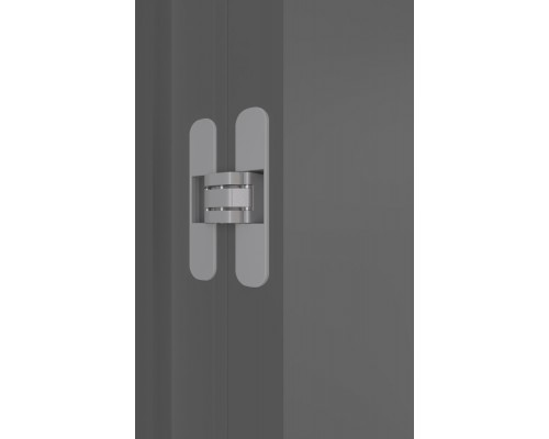 Дверь Belwooddoors Межкомнатная дверь Слайд с зеркалом Эмаль заказной Дверь Belwooddoors Межкомнатная дверь Слайд с зеркалом Эмаль заказной