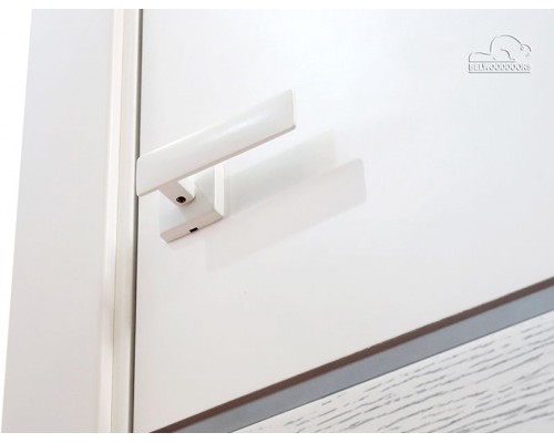 Дверь Belwooddoors Межкомнатная дверь Твинвуд 1 глухая Эмаль белый