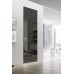 Дверь Belwooddoors Межкомнатная дверь Спейс с зеркалом Стекло Лакобель чёрный