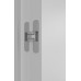 Дверь Belwooddoors Межкомнатная дверь Слайд с зеркалом Эмаль заказной