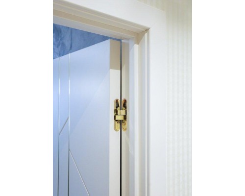 Дверь Belwooddoors Межкомнатная дверь Флекс 1 Молдинг Золото глухая Эмаль заказной Дверь Belwooddoors Межкомнатная дверь Флекс 1 Молдинг Золото глухая Эмаль заказной