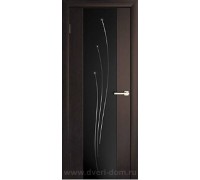 Юкка Межкомнатная дверь Стиль 1.1 стекло черное с рисунком 2