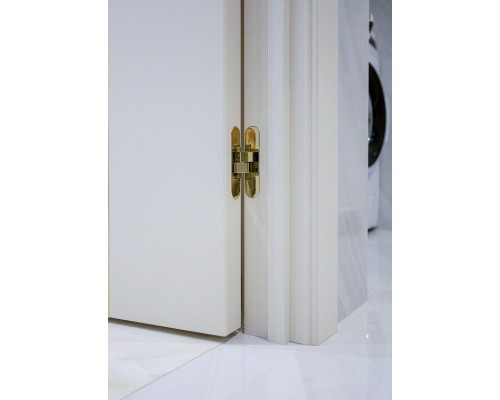 Дверь Belwooddoors Межкомнатная дверь Флекс 1 Молдинг Золото глухая Эмаль заказной Дверь Belwooddoors Межкомнатная дверь Флекс 1 Молдинг Золото глухая Эмаль заказной