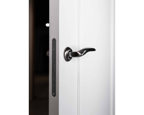 Дверь Belwooddoors Межкомнатная дверь Ламира 1 глухая Эмаль шёлк Дверь Belwooddoors Межкомнатная дверь Ламира 1 глухая Эмаль шёлк