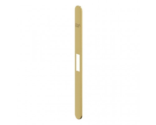 Дверной замок Планка FM-3 SGold