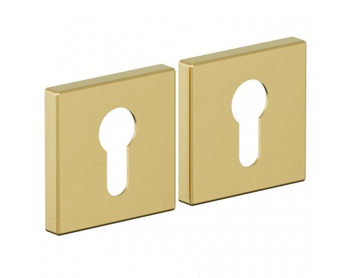 Накладка для замка AS-3CL SGold Накладка для замка AS-3CL SGold