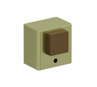 DS-1 SG МатЗолото
