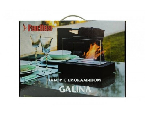 Набор: биокамин GALINA, биотопливо (1.5 л), зажигалка