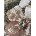 Ragolle Ковер бельгийский Argentum 63720 7270