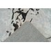 Ковер Pixel Leo PX 6007 000