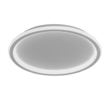 Потолочный светодиодный светильник Feron Ring AL5800 41558