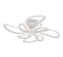 Потолочная люстра Escada Archer 10270/8LED