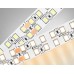 Светодиодная лента Ambrella Light 24W/m 240LED/m 2835SMD дневной белый 5M GS3702
