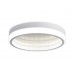 Потолочный светодиодный светильник Ambrella light Ice FA9431