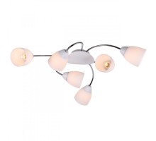 Потолочная люстра IMEX MD.8410-6-S CH+WH