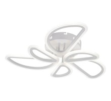 Потолочная люстра Escada Archer 10270/6LED