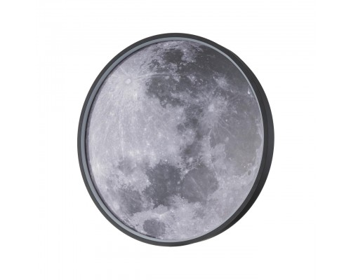 Настенно-потолочный светодиодный светильник Escada Planet 10226/SG LED Moon