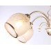 Потолочная люстра Ambrella light Traditional TR3189