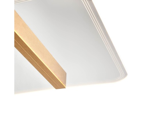 Потолочный светильник Vele Luce Futuro VL7224L21