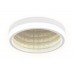 Потолочный светодиодный светильник Ambrella light Ice FA9431