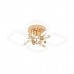 Потолочный светодиодный светильник Escada Lacerta 10265/4LED