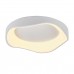 Потолочный светодиодный светильник MyFar Ceiling Diona MR9170-CL