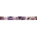 Ceradim Mold Stella Бордюр 5х50