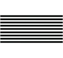 Cersanit Evolution Вставка линии черно-белый (EV2G443) 20x44