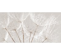 Cersanit Avangarde вставка серый (AV2L091DT) 29,8x59,8