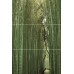 Keros Bambu Панно (из 3-х плиток ) D/E/F 50х75