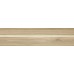 Ceradim Apricot Керамогранит бежевый AP 0058 15х60