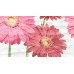 Ceradim Dec Gerbera Panno A КПН16GerberaA 25х45