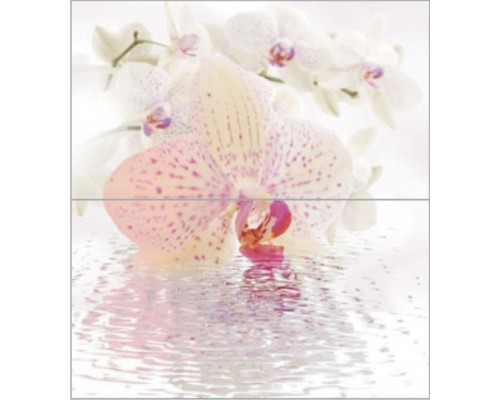 Ceradim Dec Orchid Panno (панно из 2-х шт) КПН16Orchid 50х45 Ceradim Dec Orchid Panno (панно из 2-х шт) КПН16Orchid 50х45