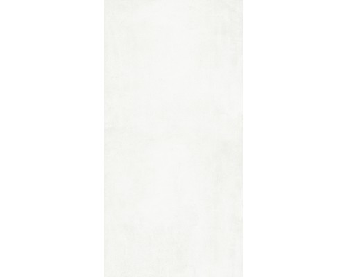 Grasaro Beton Керамогранит G-1104/MR/60x120 белый Grasaro Beton Керамогранит G-1104/MR/60x120 белый