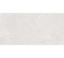 Laparet Porter Silver Pro Керамогранит светло-серый LP6012G0171R 59,5х119,1 матовый R10 STR