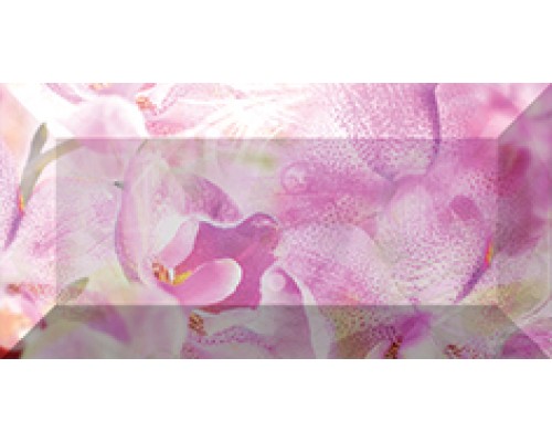 Ceramica Classic Impression Бордюр рельефный br1020D190-2 20х10 Ceramica Classic Impression Бордюр рельефный br1020D190-2 20х10