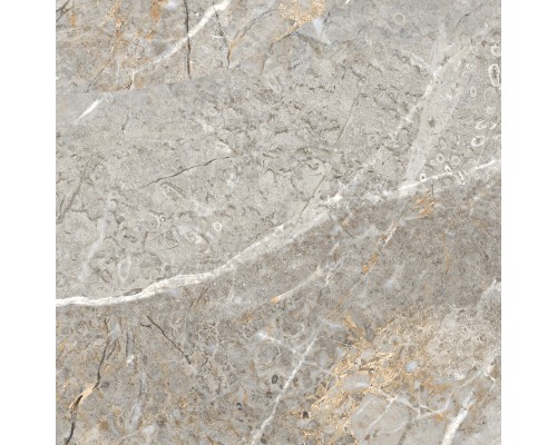 Laparet Fantastico Grey Granito Керамогранит 60х60 Матовый