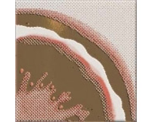 Opoczno Inwencja Melon centro Декор 10х10