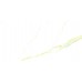 Laparet Golden White Statuario Керамогранит 60х120 Полированный