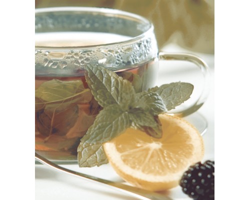 Ceradim Dec Tea Panno (панно из 2-х шт) КПН16Tea 50х45