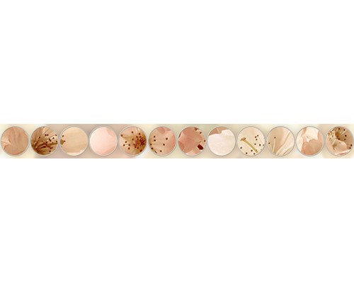 Ceradim Mold Manzano Бордюр 5х50 Ceradim Mold Manzano Бордюр 5х50