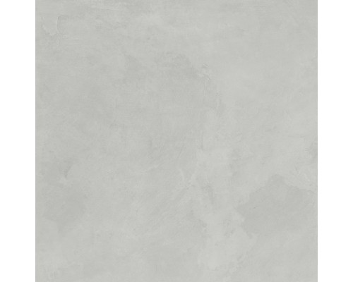 Ceradim Эволюшн Смоук Керамогранит светло-серый SG603720R 59,5х59,5 матовый карвинг