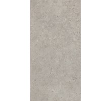 Kerama Marazzi Риккарди Керамогранит серый светлый матовый обрезной SG519920R 60х119,5