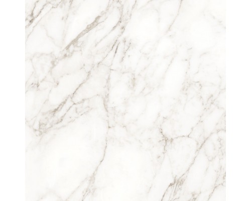 Ceradim Carrara Immense Керамогранит белый 80х80 Полированный Ceradim Carrara Immense Керамогранит белый 80х80 Полированный