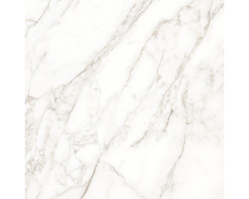 Ceradim Carrara Immense Керамогранит белый 80х80 Полированный Ceradim Carrara Immense Керамогранит белый 80х80 Полированный
