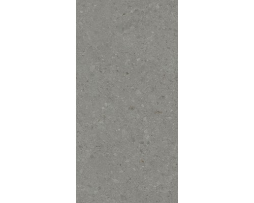 Kerama Marazzi Чеппо ди Гре Керамогранит серый тёмный матовый обрезной DD507920R 60x119,5