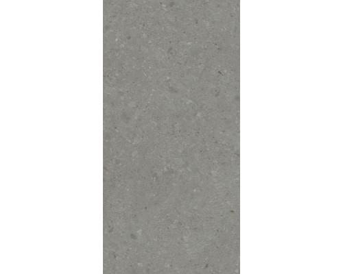 Kerama Marazzi Чеппо ди Гре Керамогранит серый тёмный матовый обрезной DD507920R 60x119,5