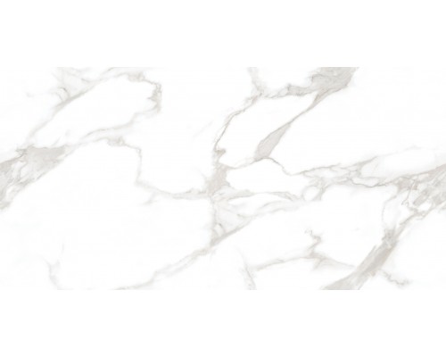 Ceradim Statuario Perfect Silver Керамогранит белый 60х120 Полированный Ceradim Statuario Perfect Silver Керамогранит белый 60х120 Полированный