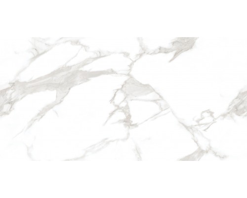 Ceradim Statuario Perfect Silver Керамогранит белый 60х120 Полированный Ceradim Statuario Perfect Silver Керамогранит белый 60х120 Полированный