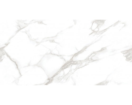 Ceradim Statuario Perfect Silver Керамогранит белый 60х120 Полированный Ceradim Statuario Perfect Silver Керамогранит белый 60х120 Полированный